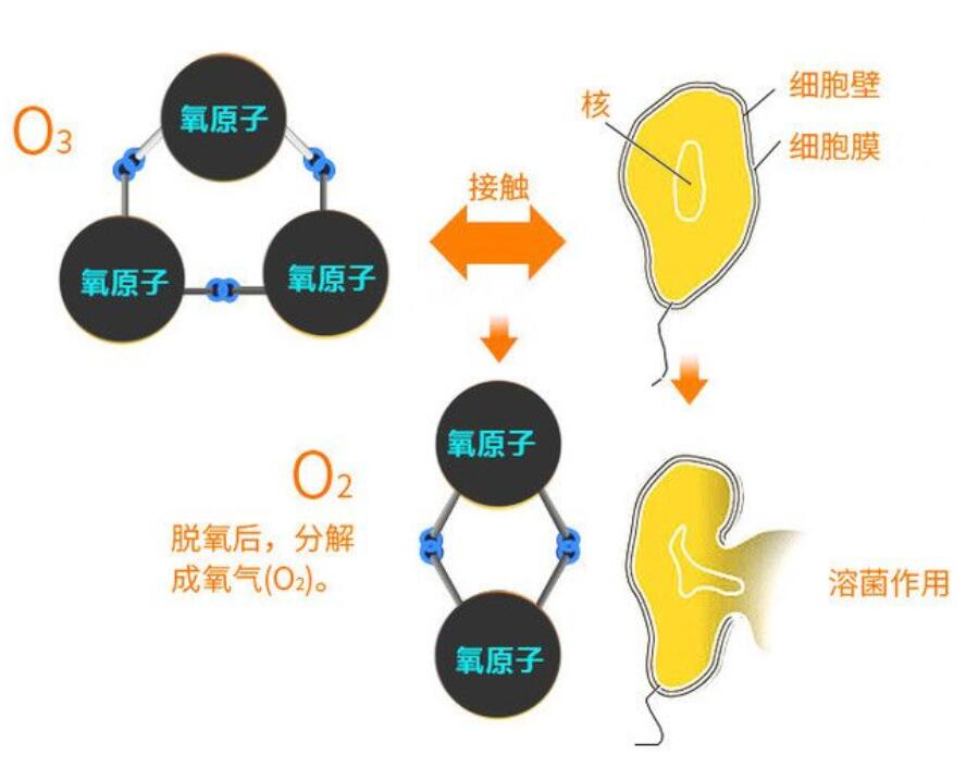 臭氧熏蒸消毒滅菌法(1) 20200218111919.jpg